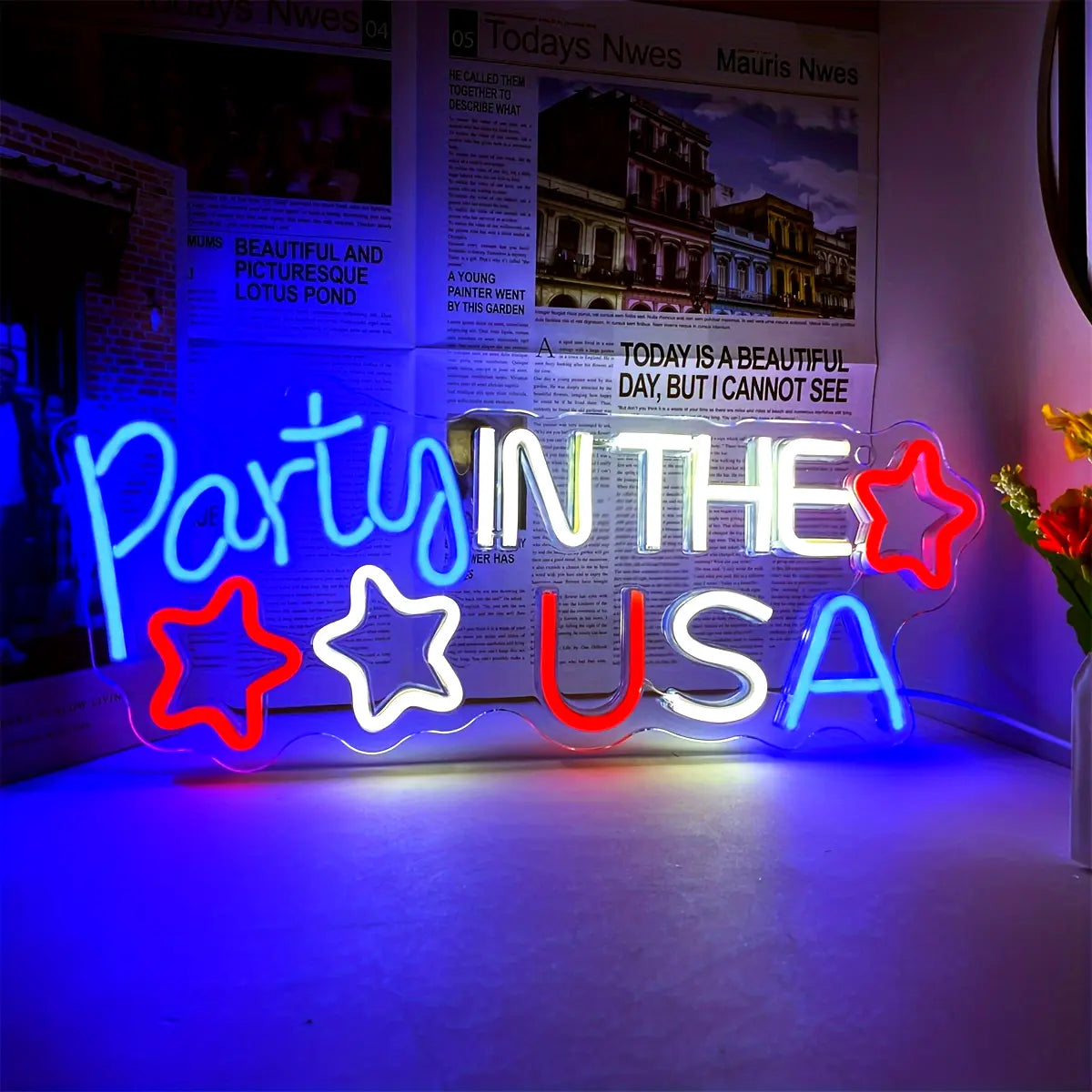 pc Neon Light Party In The USA Backboard, Illuminated Walls LED Signboard room, Themed Party