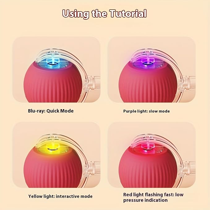 Rollraptor Interactive Pet Toy Ball