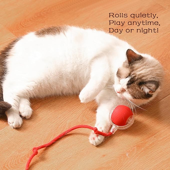 Rollraptor Interactive Pet Toy Ball