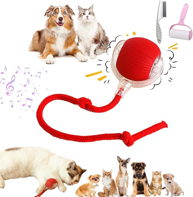 Rollraptor Interactive Pet Toy Ball