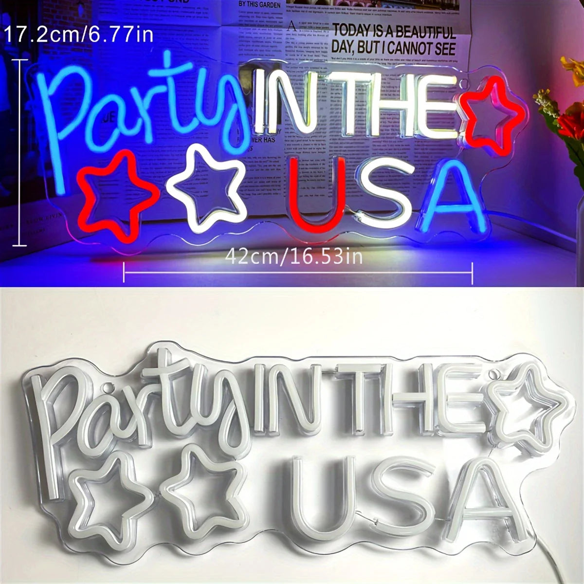 pc Neon Light Party In The USA Backboard, Illuminated Walls LED Signboard room, Themed Party